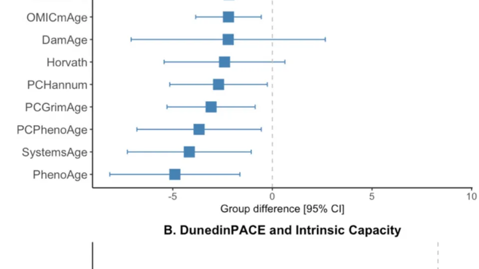 Scientific forest plots illustrating the comparative effects on different epigenetic clocks and the DunedinPACE pace of aging metric.